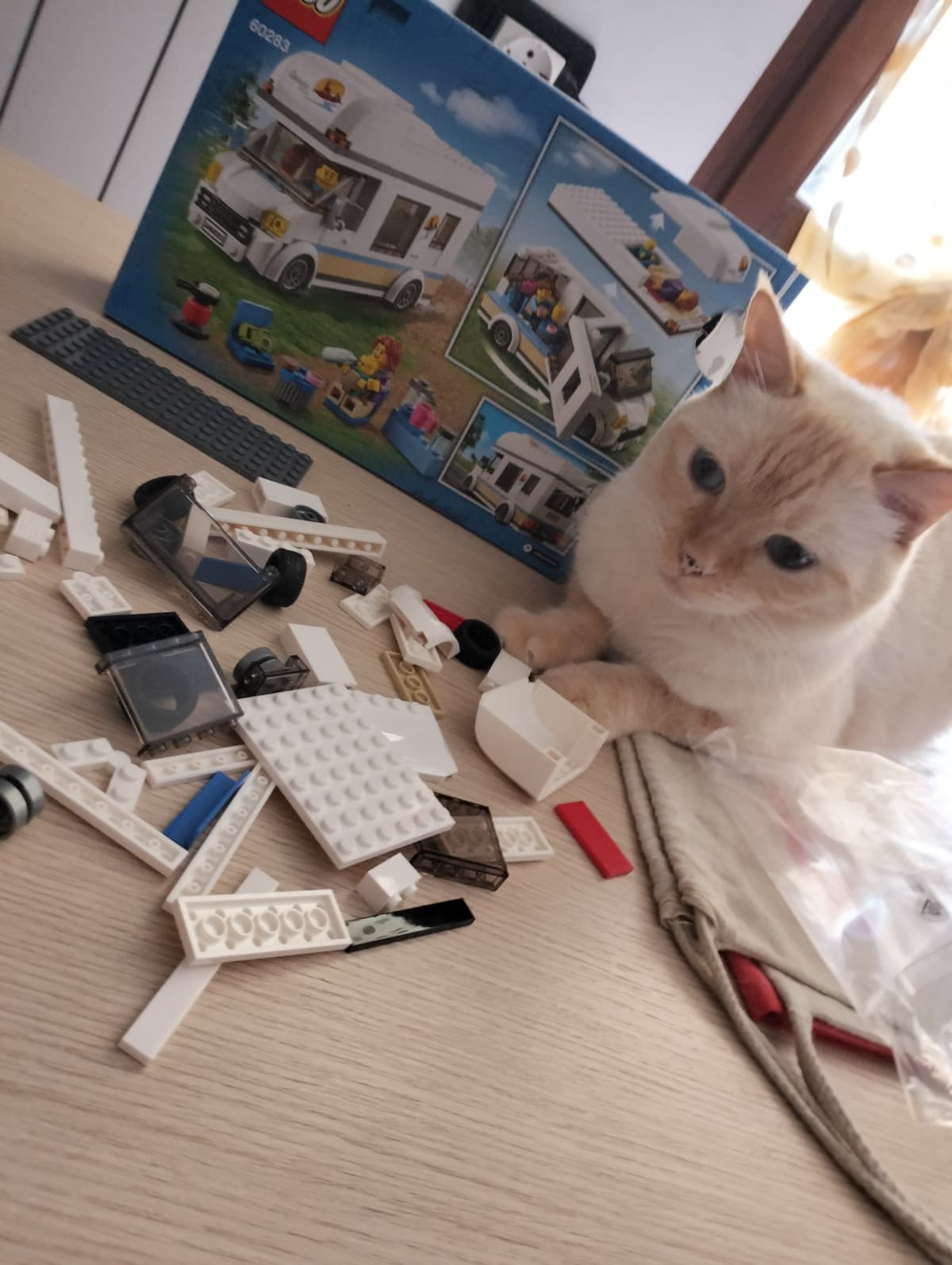 Gatto e LEGO