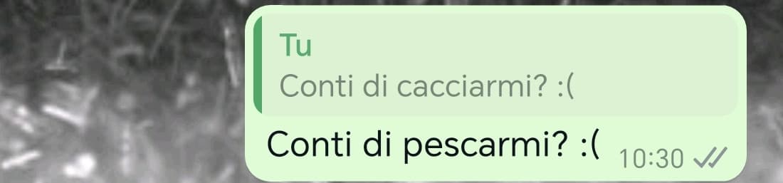 Ma perché i cartoni animati di oggi sono così demenziali? (sto guardando Bluey con mia cugina, il "padre" è più bambino dei bambini) 