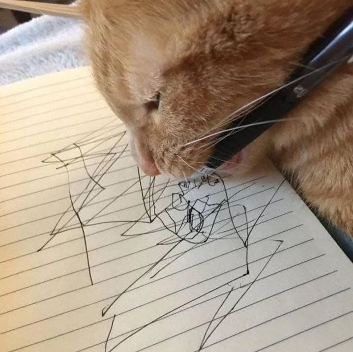 Gatto artista 