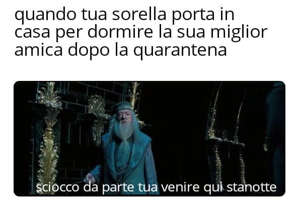 LO HAI CAPITO