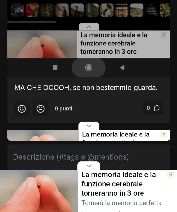 Semplicemente insegreto