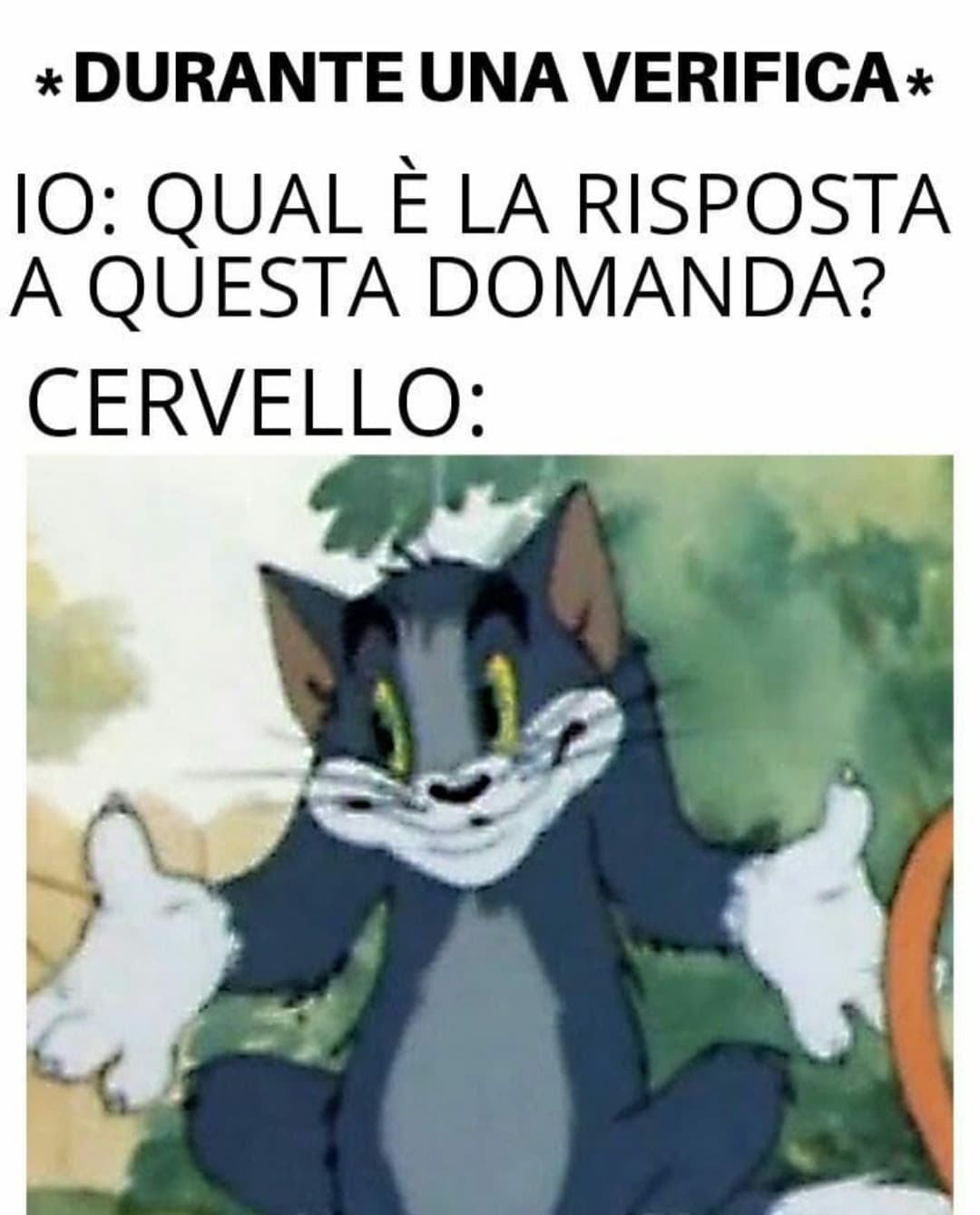 Sempre.