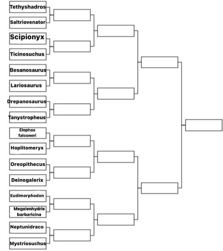 Maaaaa se facessi anche io un torneo sulle bestie estinte italiane? Ad ogni round vi metto una foto e vi spiego in 10 parole cosa è e voi votate. Se volete ditemelo che vi taggo 