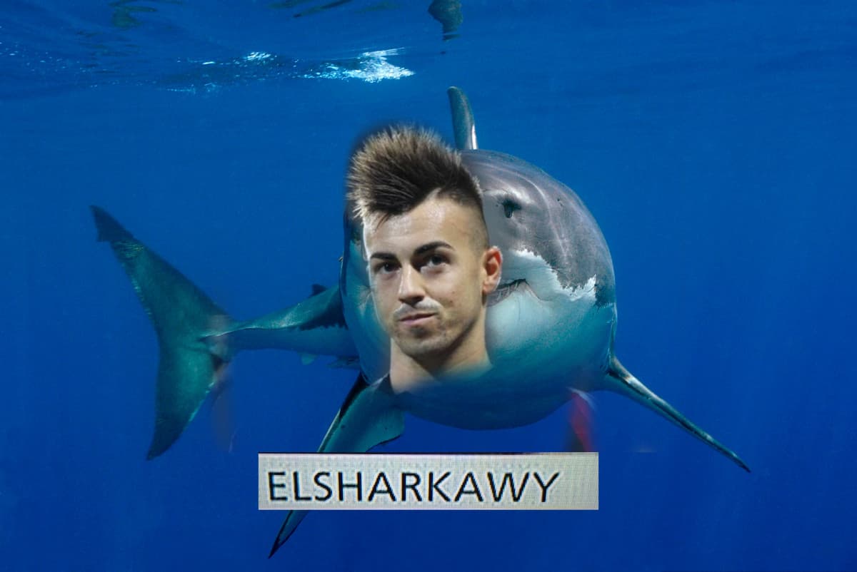 el sharkawy