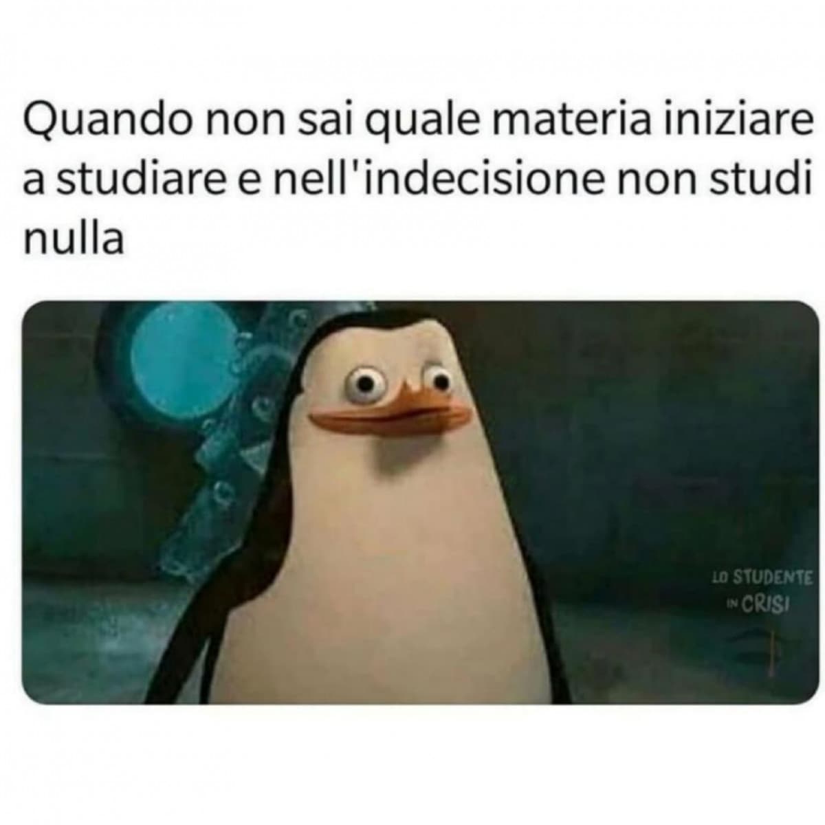 Studenti oggi: