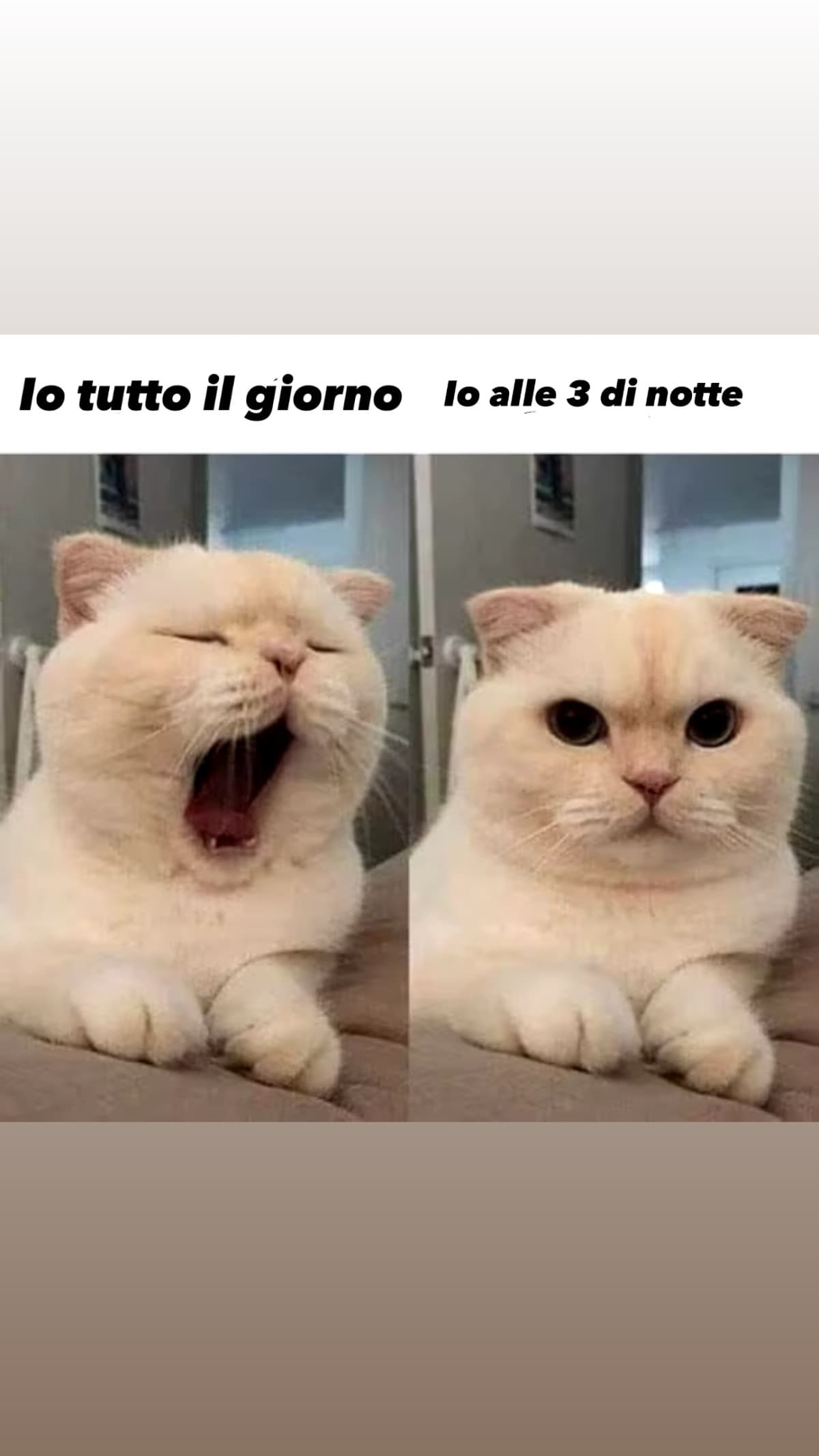 È un problema di noi bellissimi💅✨