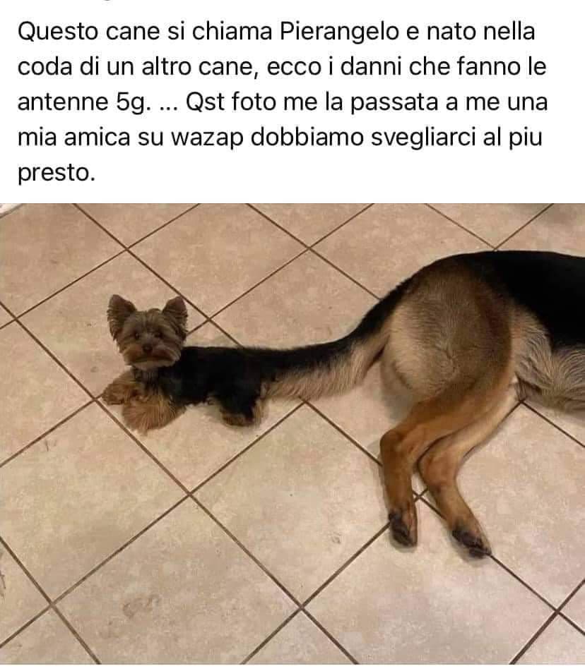 Non so se ridere per la foto o ciò che sta scritto 