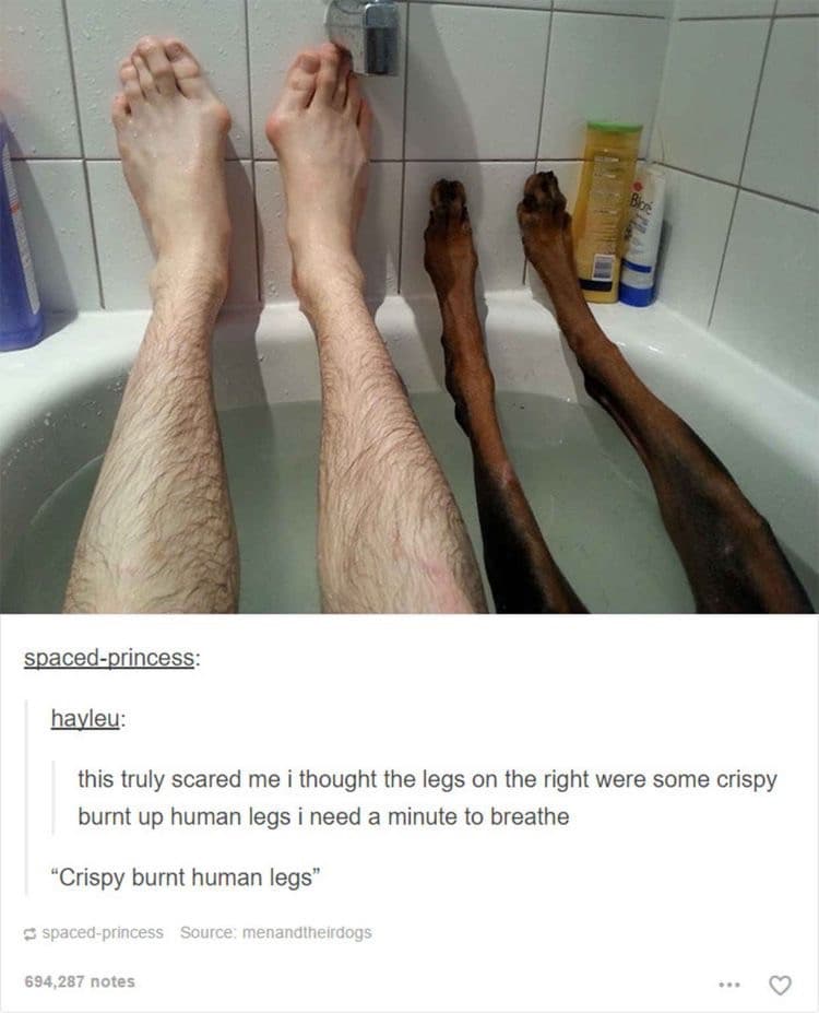 CRISPY BURNT HUMAN LEGS