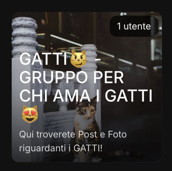 IL GRUPPO PER GLI AMANTI DEI GATTI😼 & ANIMALI IN GENERALE - ISCRIVETEVI‼️