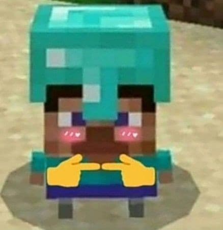 Qualcuno mi insegna a giocare a Minecraft/gioca con me?