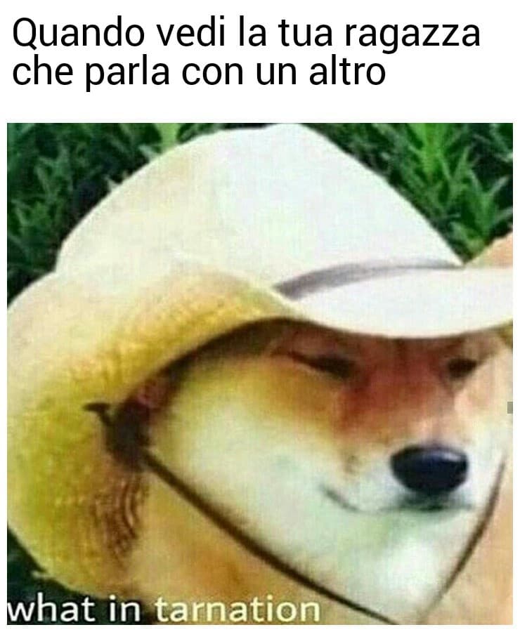 hahahahahahhaha è verissimo