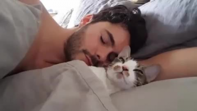 Quanto è carino quel gatto~