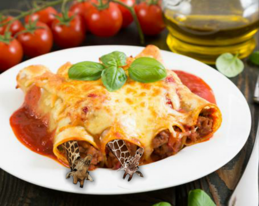 Giraffe nei cannelloni 