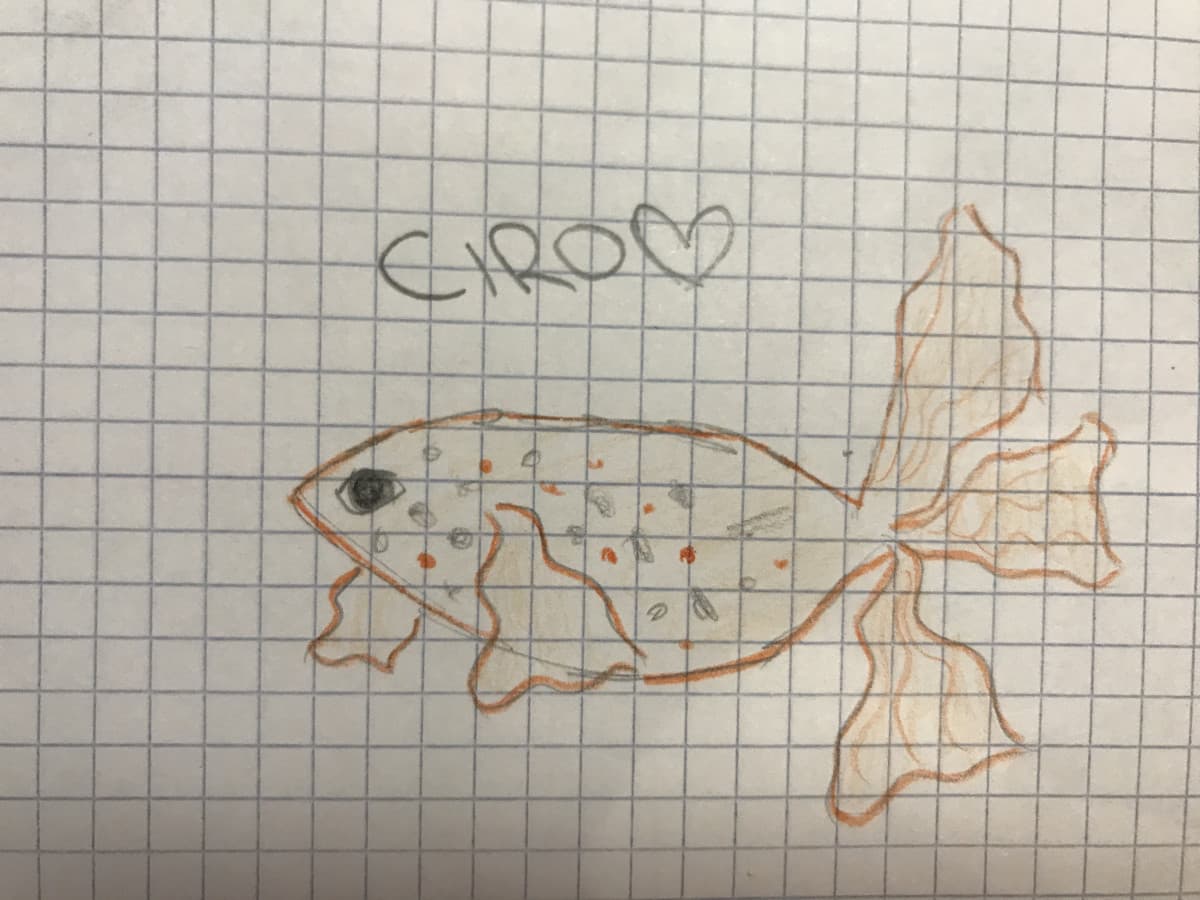 non mi va più di disegnare delle persone brtt...quindi come ultimo capolavoro, vi esco Ciro il mio pesce?????