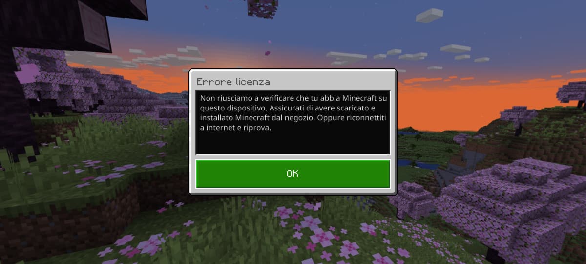 Perché minecraft mi dice così? Come risolvo?