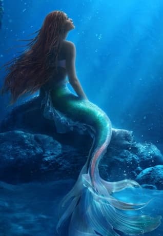 Alcuni utenti, leggendo il mio nick, potrebbero pensare che io sia una sirena di questo tipo 🧜🏻‍♀️: