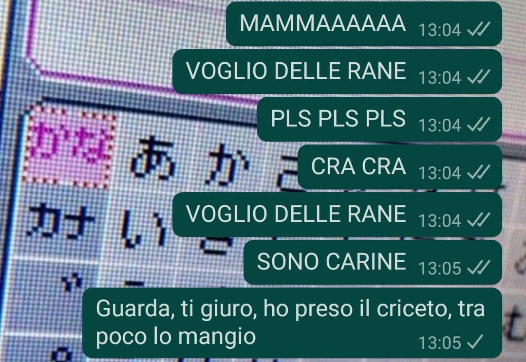 Scusa mamma, ma il criceto ha smesso di respirare?. 