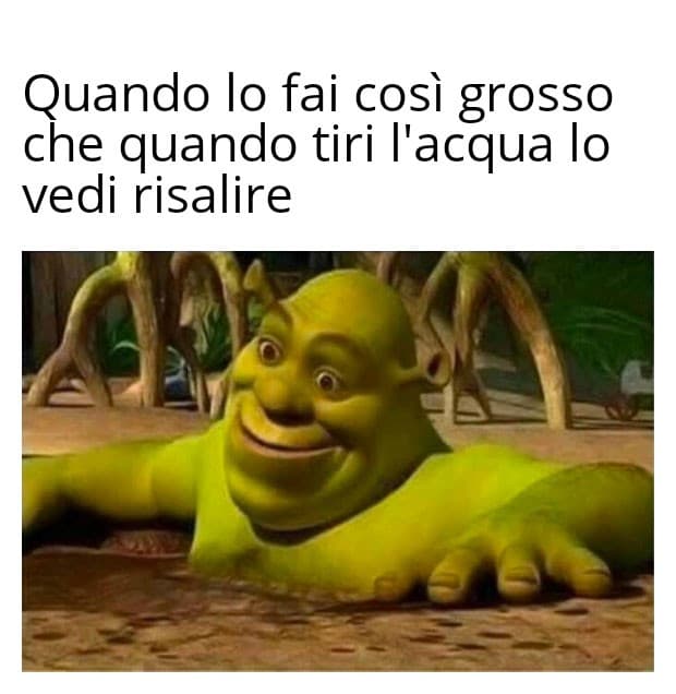 Adoro Shrek 