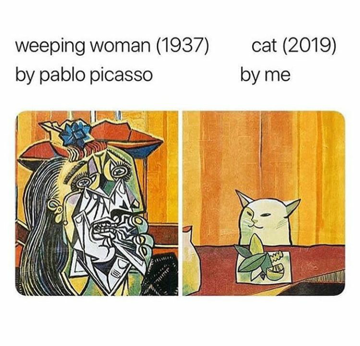 Cat vs Picasso