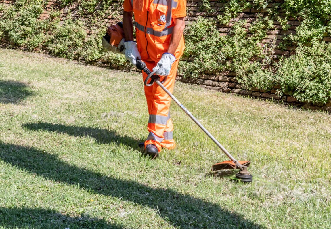 il rumore più odioso del mondo che spacca le palle anche la domenica mattina (compratevi dei robottini taglia erba e non scassate le palle alla gente ) che magari hanno qualcosa da fare (studiare o lavorare da casa al pc ).