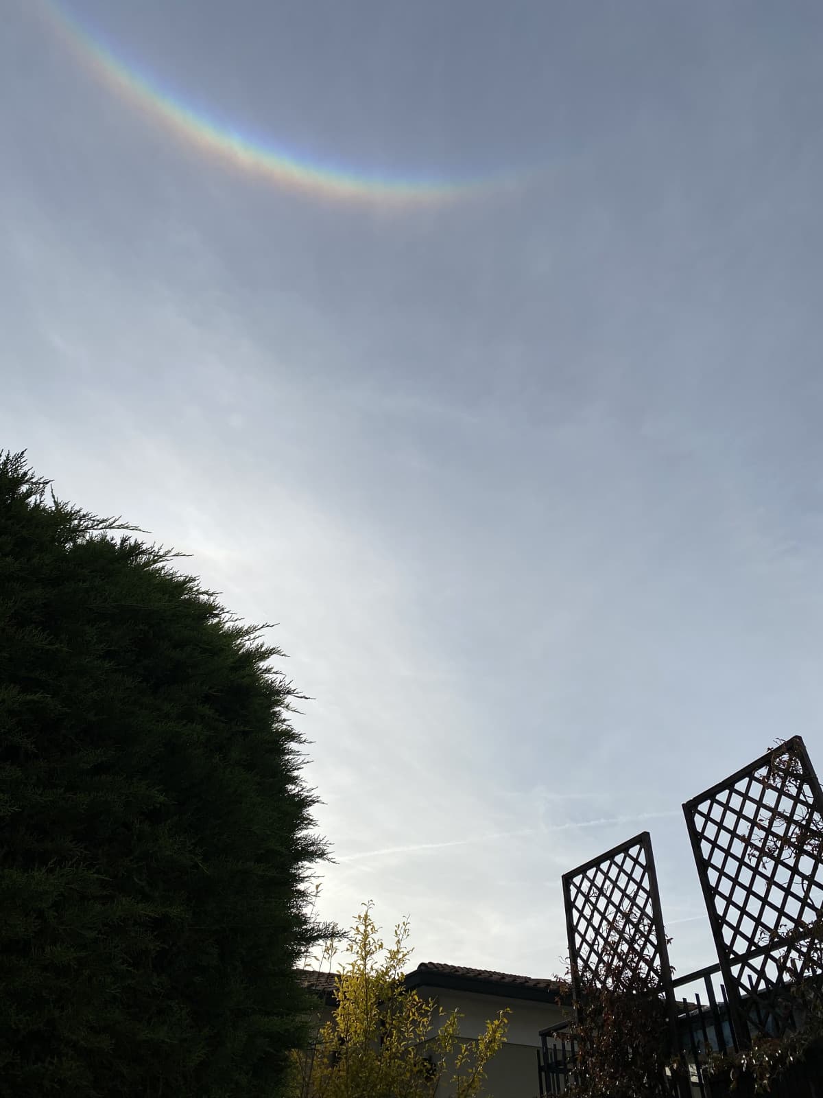 Oggi ho visto un arcobaleno al contrario (?)