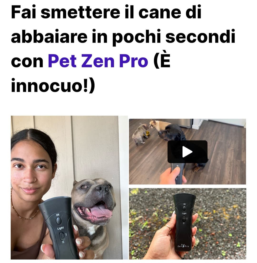 Il cane abbaia? E spegnilo con il telecomando, no? 