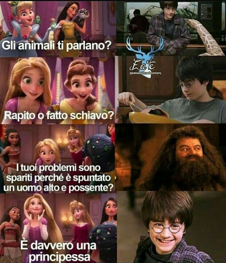 harry tornato