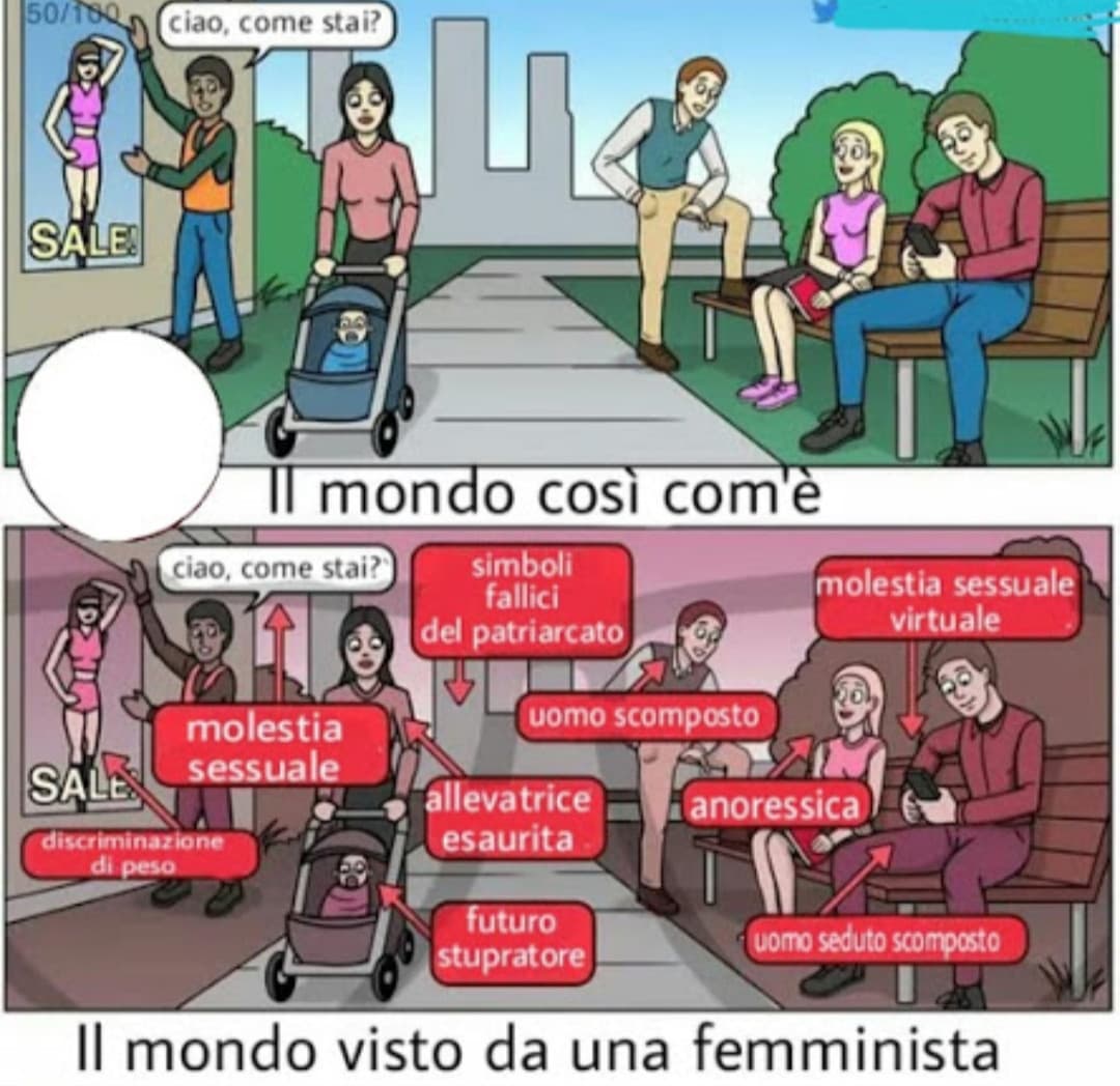 Eh ma il femminismo è un'altra cosa". Ni, il "nazifemminismo" è un'ala interna al femminismo, ne fa parte, scagliarsi contro certe cose in nome dell'uguaglianza... bah 