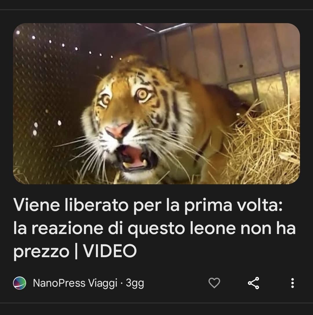 Quante cose sbagliate sto vedendo