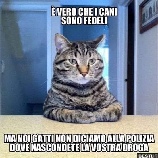 Non ha tutti i torti