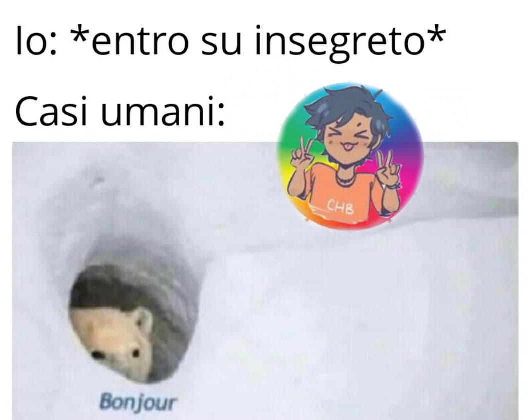 Ieri una mi ha chiesto in uno shout privato se ero libera per il suo scopamico, io non-