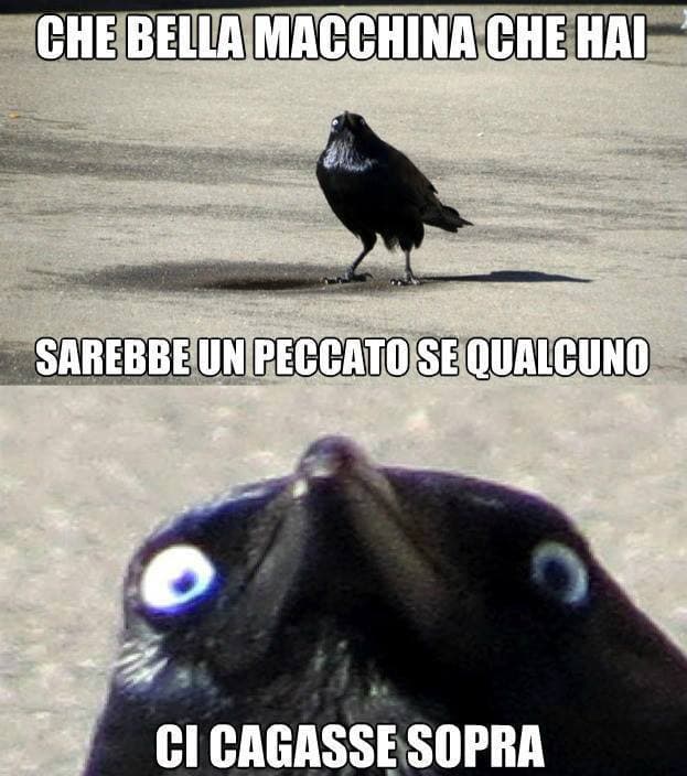 Dai ma quanto è cringe???