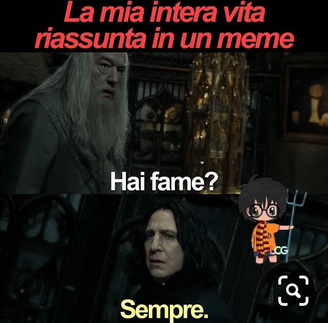 Fan di Harry Potter non ve la prendete per favore