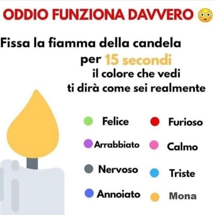 funziona veramente ?