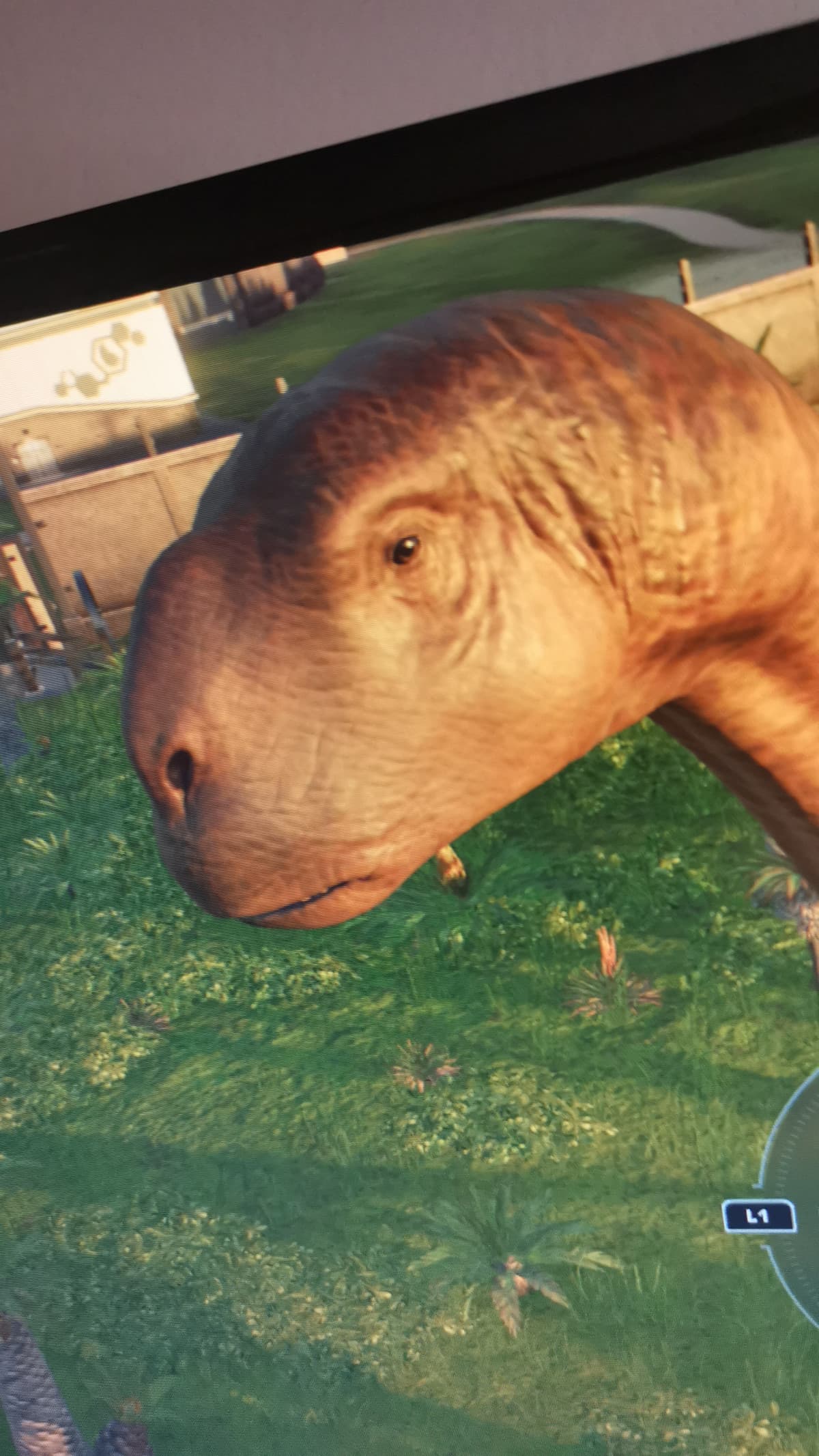 Chi gioca a Jurassic world evolution 2 di voi? 