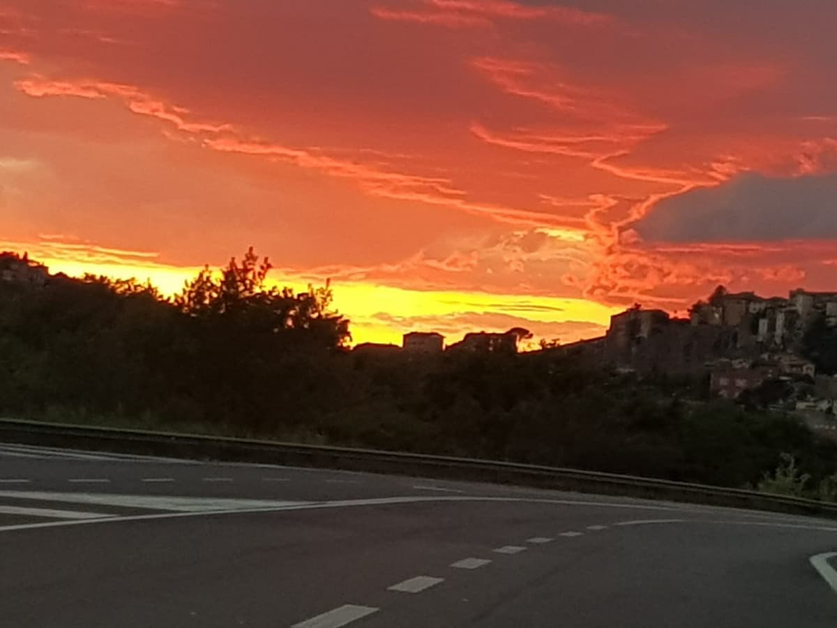 È incredibile! Mio papà l'ha scattata mentre tornava a casa