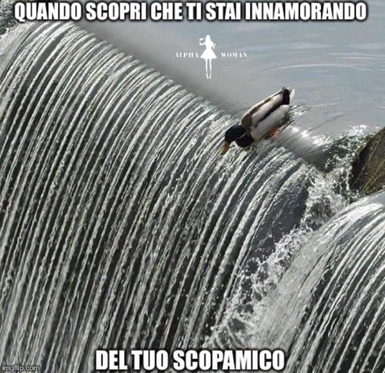 Scopamici..?