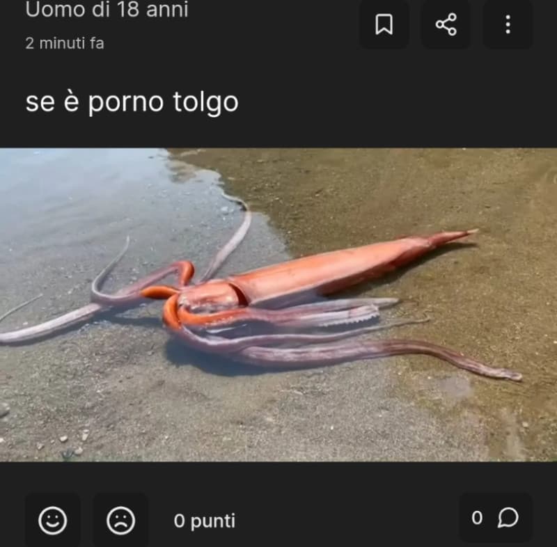 se è porno tolgo