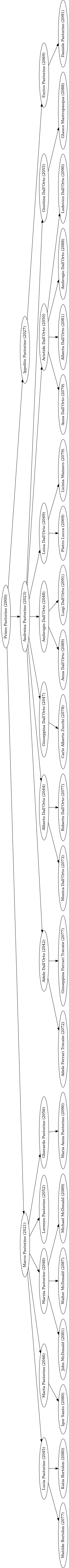 L'albero genealogico della famiglia nobile che ho creato. Sì, sono un po' folle in fondo 