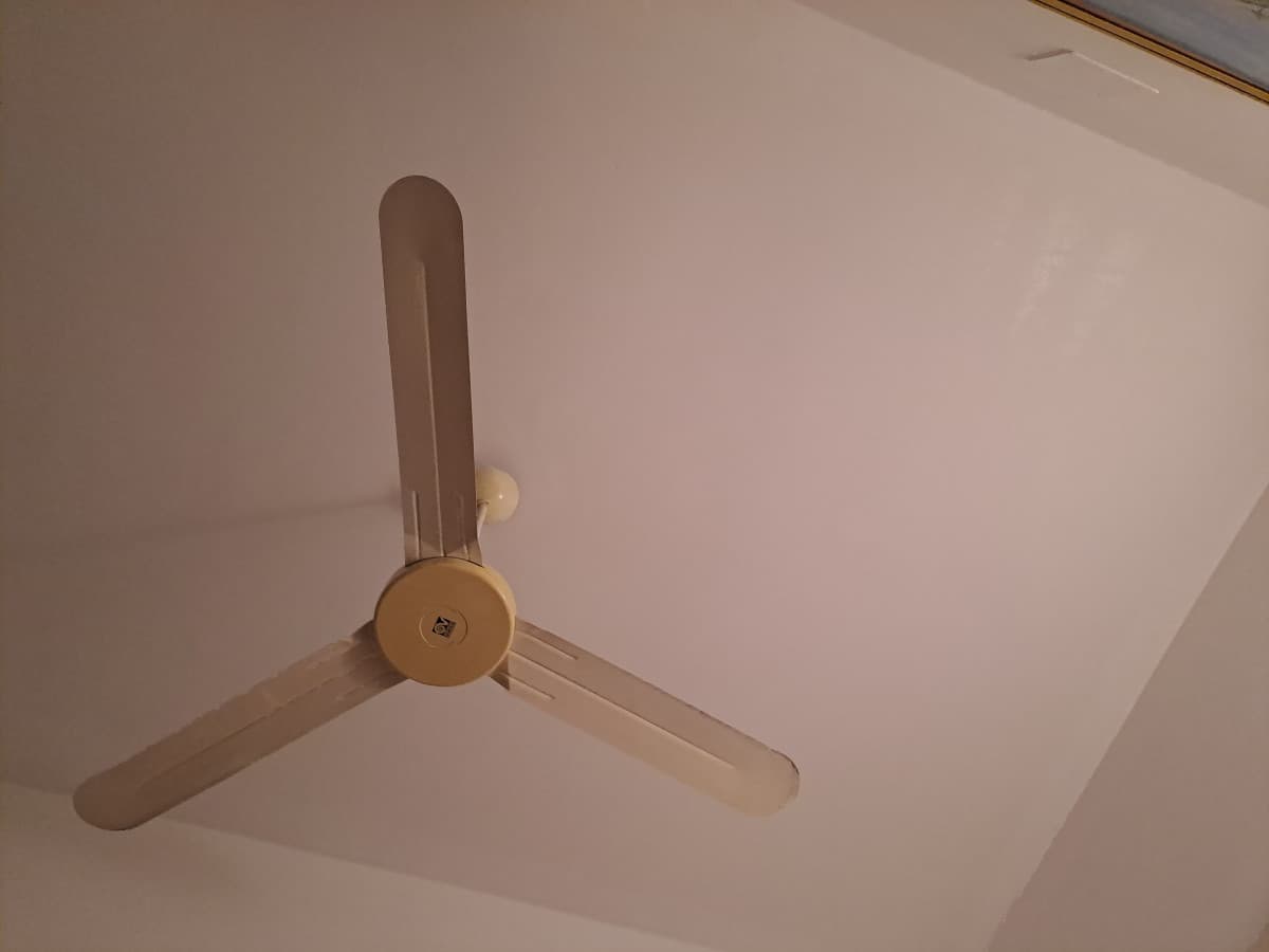 Che bello sarebbe se sto ventilatore cadesse e mi tranciasse la carotide sedutastante e non sento più ronzare le zanzare