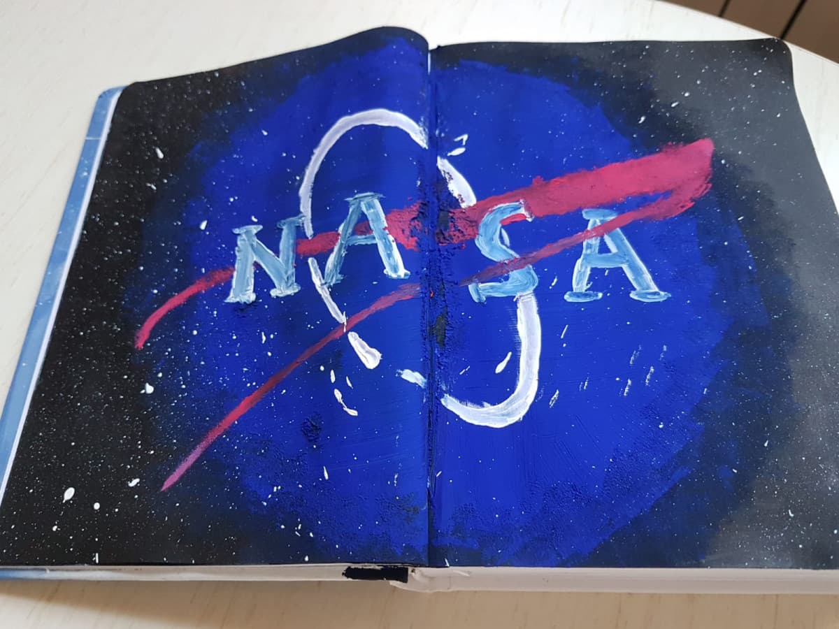 Questo è il logo della NASA fatto nel mio stile. Vi piace? ?