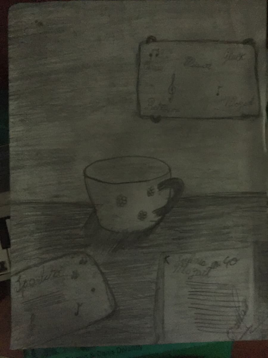 Rega mi sto allenando a disegnare, con chiaroscuro e ombre a matita, come e venuto? ( risponda chi se ne intende )