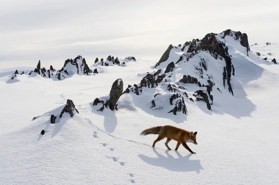 Pensandoci bene, tra 10 anni circa l’autunno e l’inverno potrebbero sempre essere come quest’anno. E praticamente non nevicherebbe più in montagna, tranne nelle come più alte. Vivremo in un mondo >