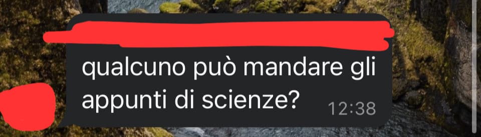 Ma cazzo già ricominciano