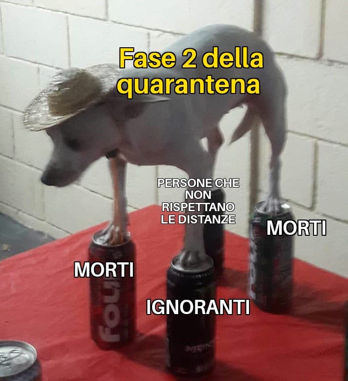 E fu così che tornammo alla fase 1