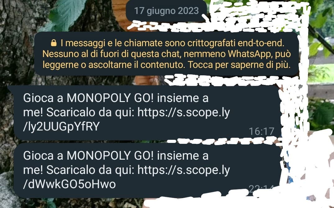 mio fratello di 13 anni