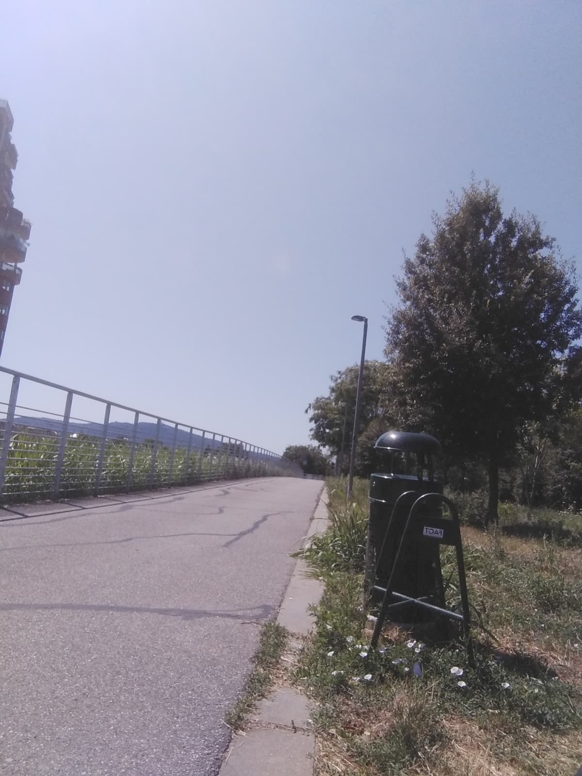 Stamattina è stato strano svegliarsi. Oggi era uno di quei giorni in cui la città che di solito è molto rumorosa era calma e silenziosa. C'è anche un cielo limpido e un sole forte. Non so perché ma queste giornate io le amo