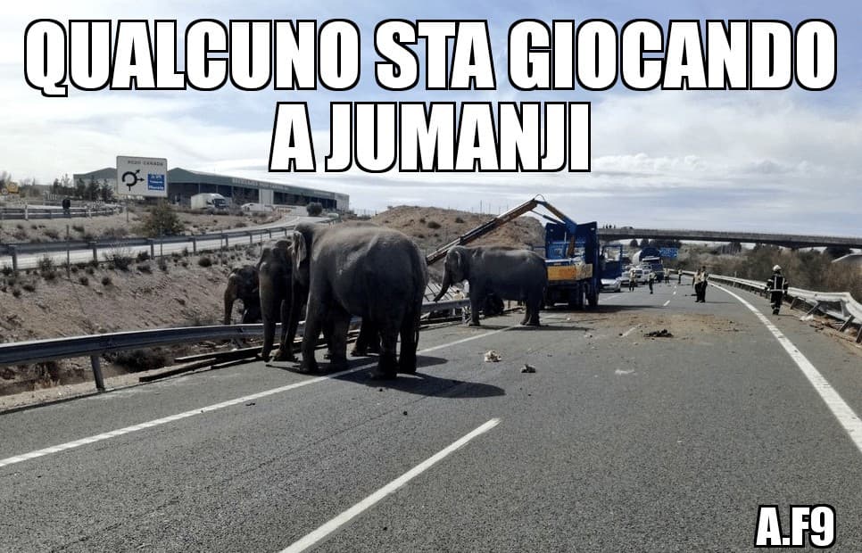 Occhio a Jumanji