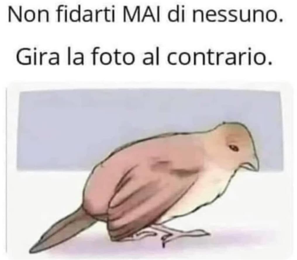 Ehh brutta storia 