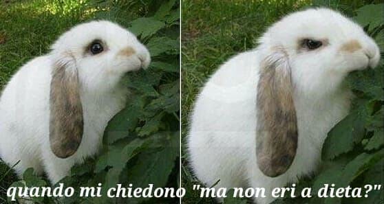 "Ma non eri a dieta?" IO: